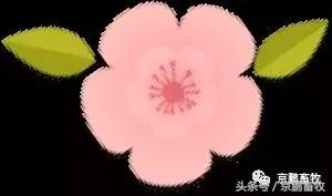 揭秘“全程仿生”4×0同步脉动原理,如何让挤奶更彻底乳头更健康