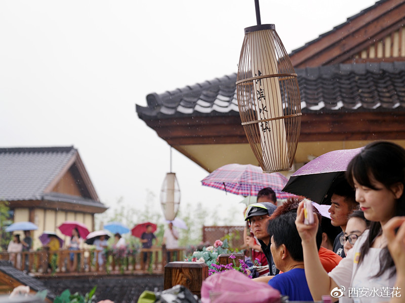 文化大讲堂古琴雅集,西安西咸新区西咸大讲堂