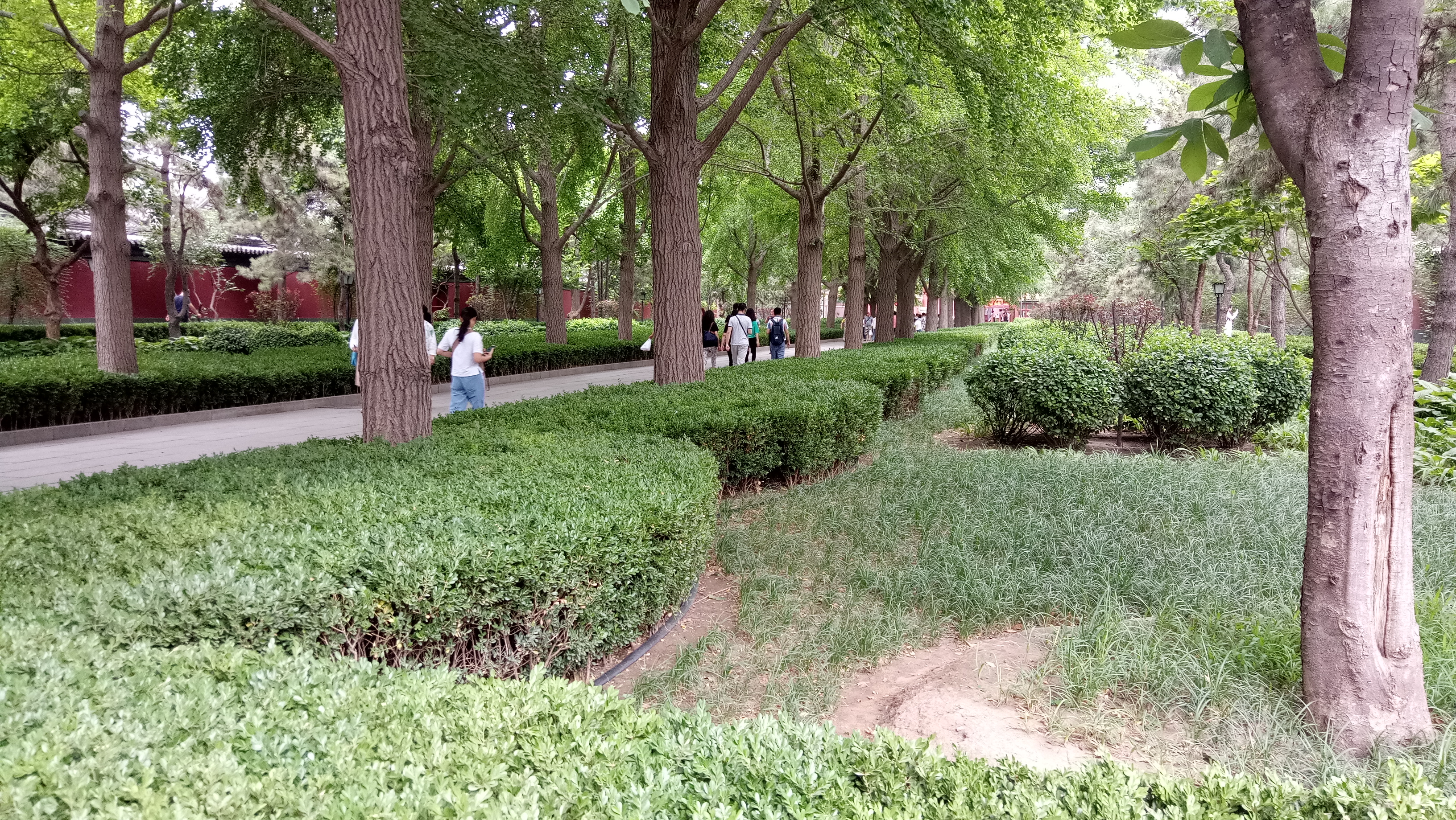 北京故宫雍和宫旅游攻略,北京雍和宫值得参观吗