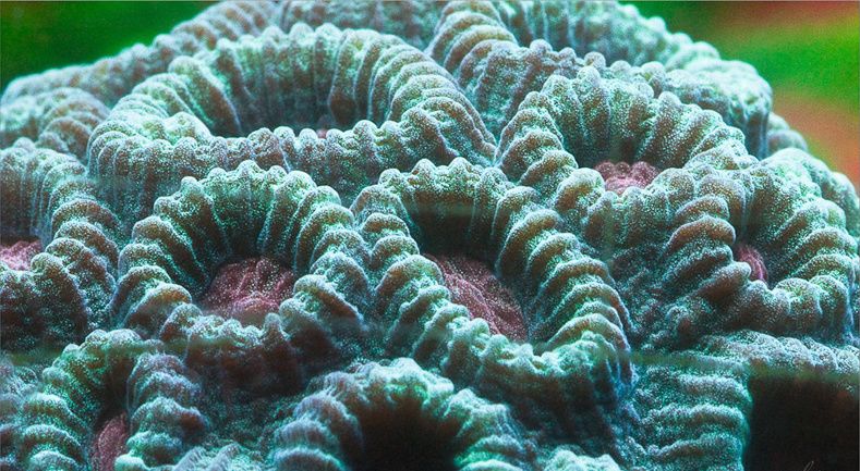 给所有朋友的忠告,给大家的五点忠告人生感悟