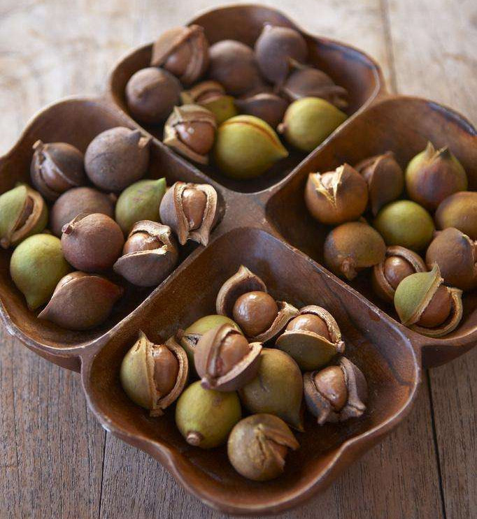 澳洲坚果干果,酥酥脆脆带着奶香味的夏威夷坚果