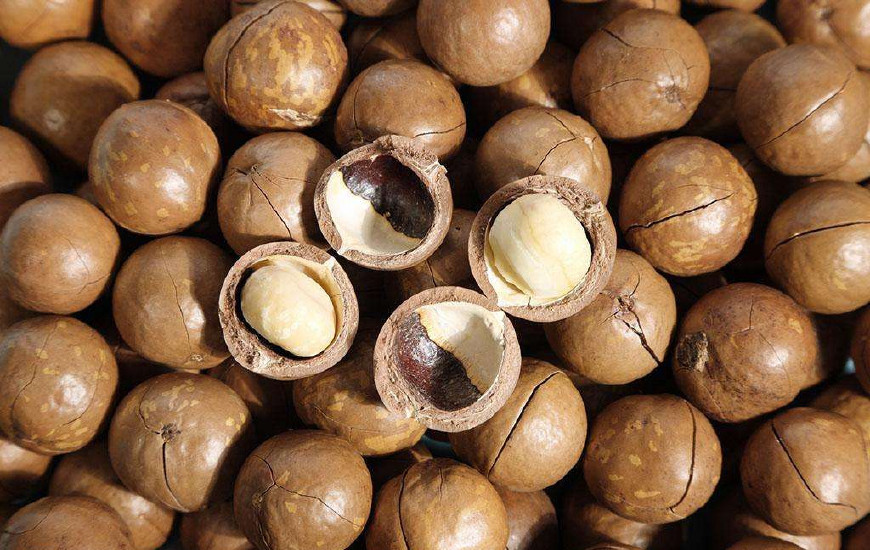 澳洲坚果干果,酥酥脆脆带着奶香味的夏威夷坚果