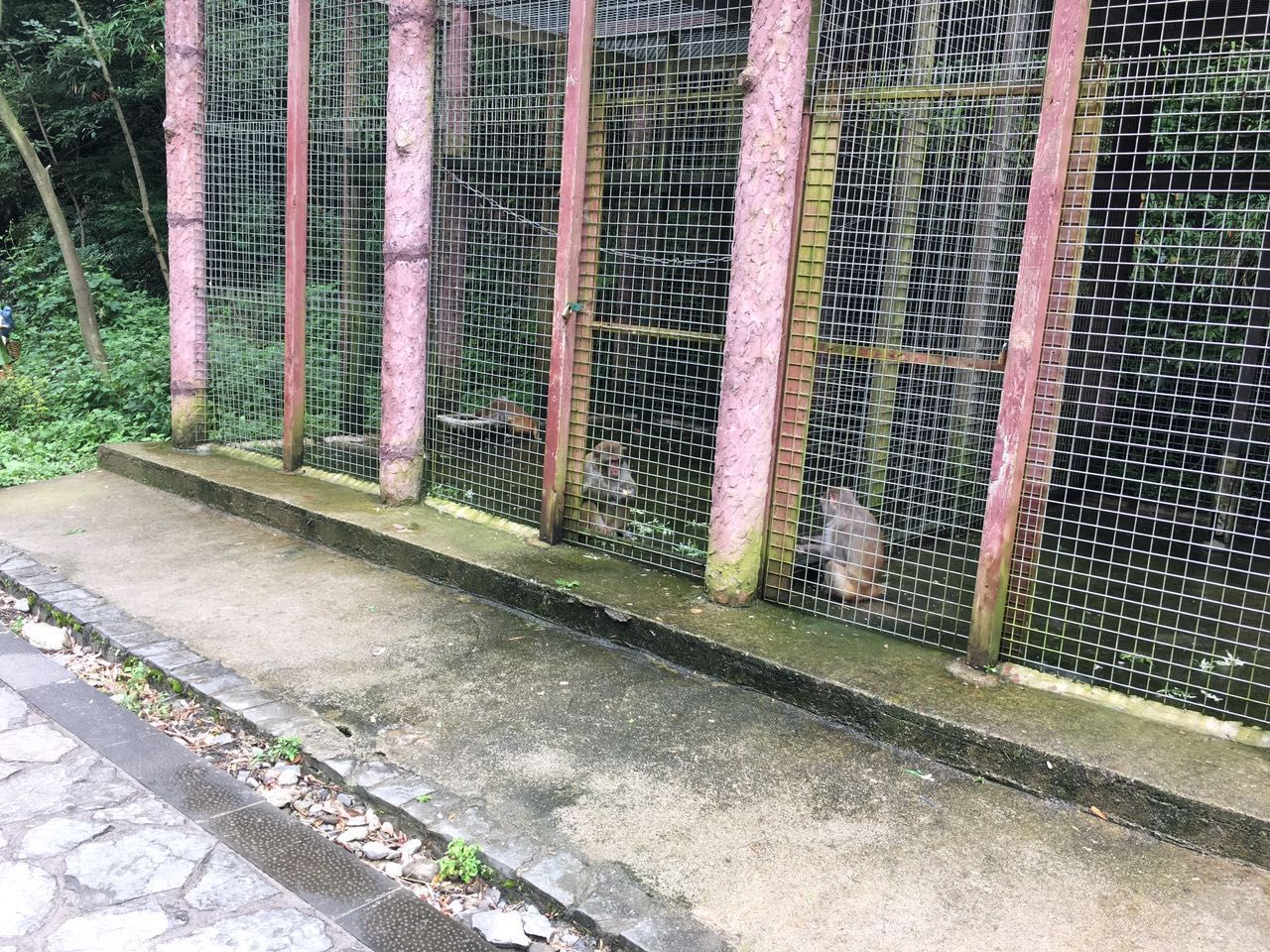 佛山刺激的游乐项目一日游,佛山一日游最刺激的地方