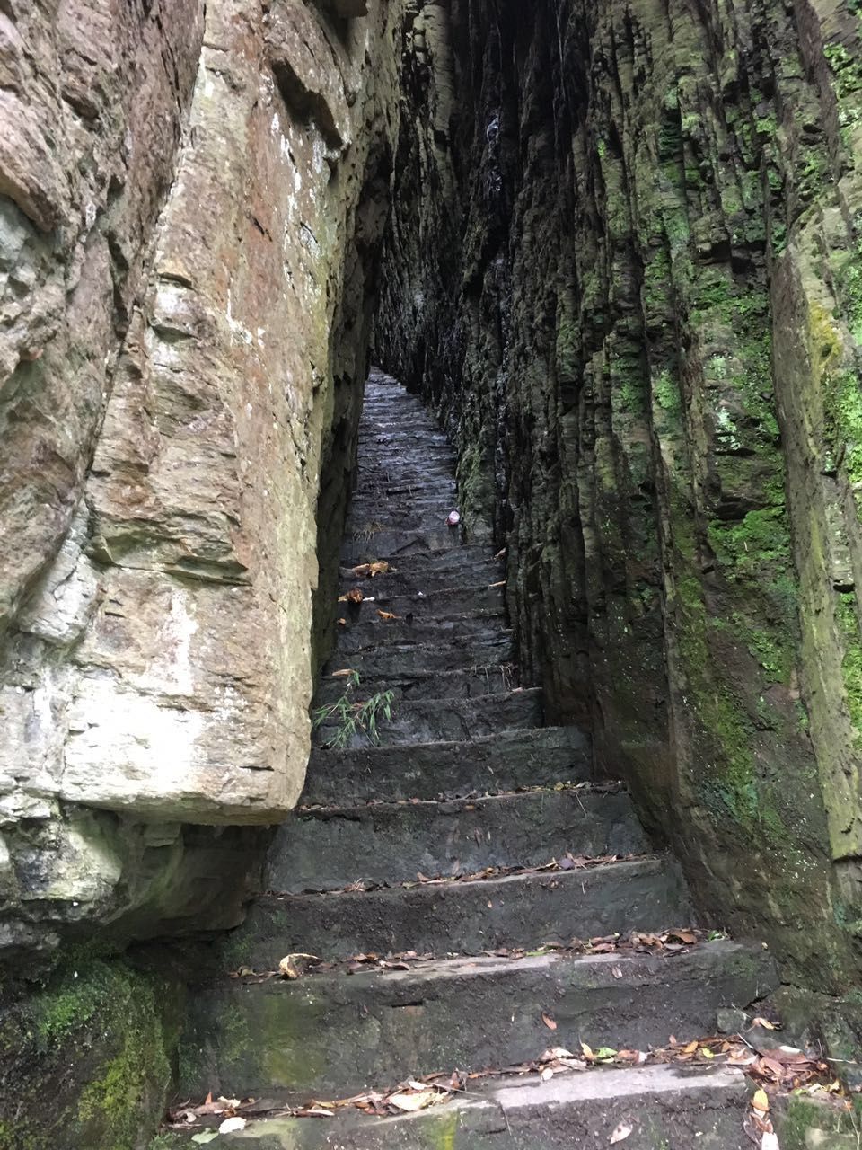 佛山刺激的游乐项目一日游,佛山一日游最刺激的地方