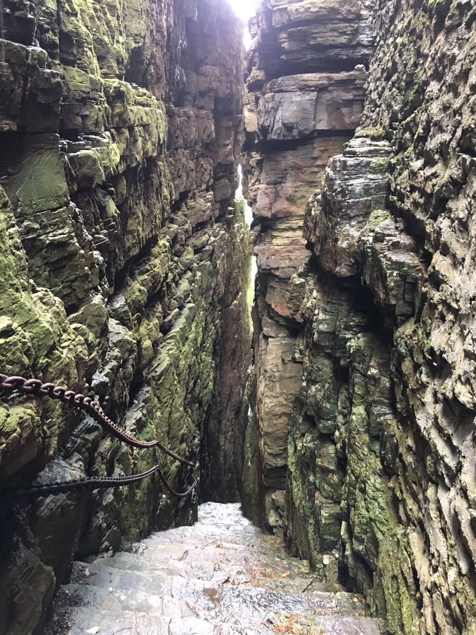 佛山刺激的游乐项目一日游,佛山一日游最刺激的地方