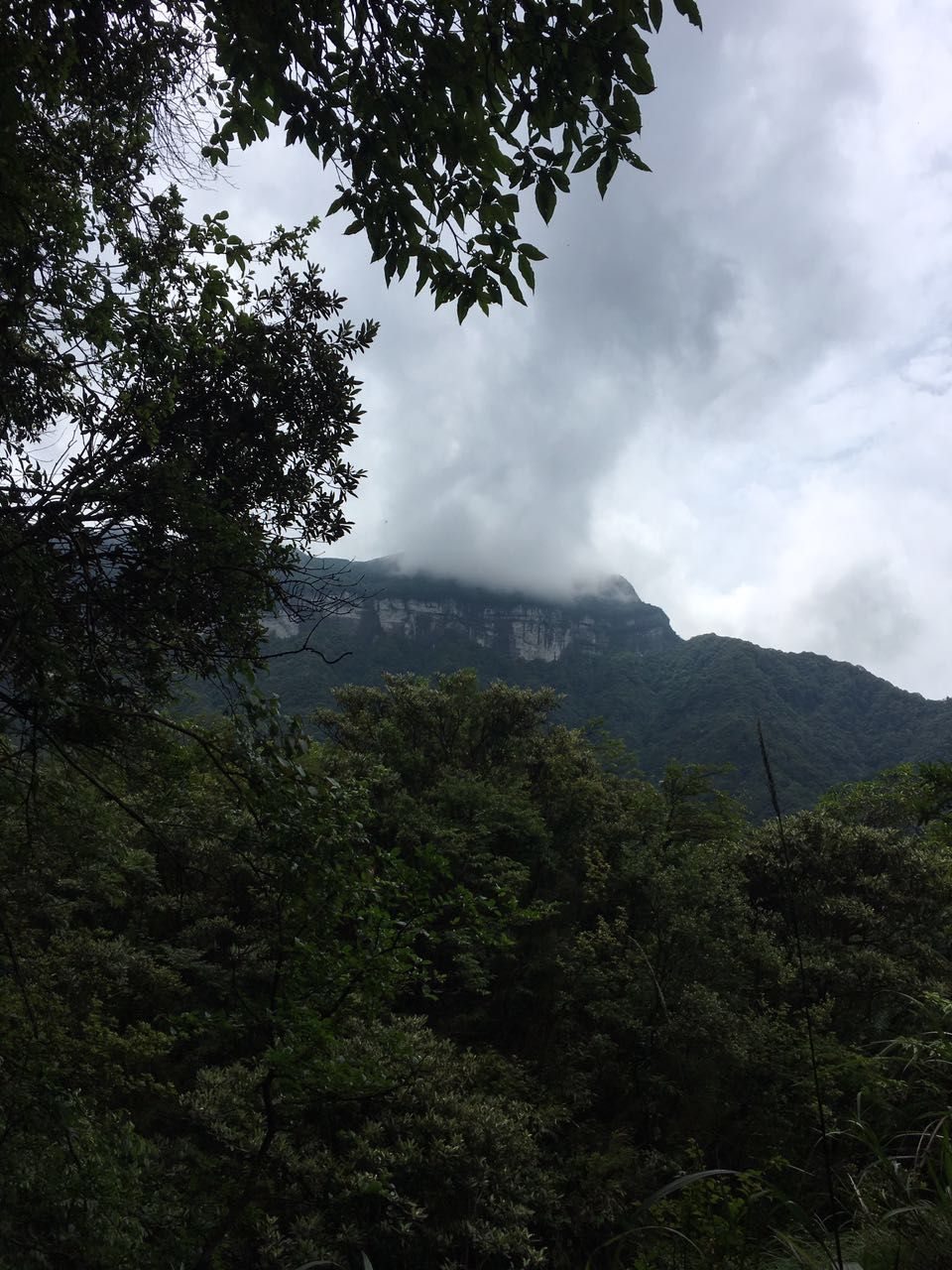 佛山刺激的游乐项目一日游,佛山一日游最刺激的地方