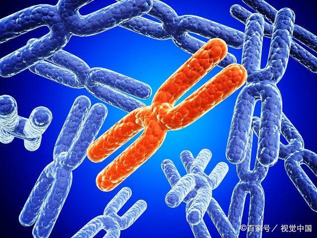 怀孕后,第一次去做B超,医生说先兆流产,其实没那么可怕!