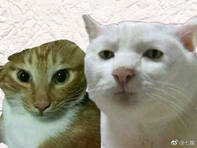 LOL洲际赛:弯弯网友热议Donib,“LPL第一*男舞**”跟马哥两个极端