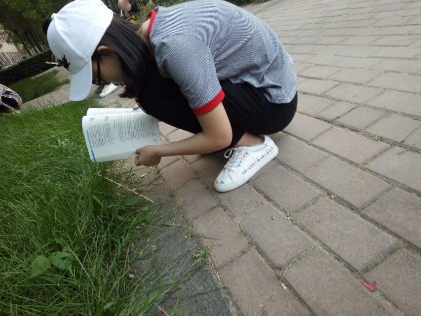 新乡医学院三全学院制药工程专业,新乡医学院三全学院生物工程