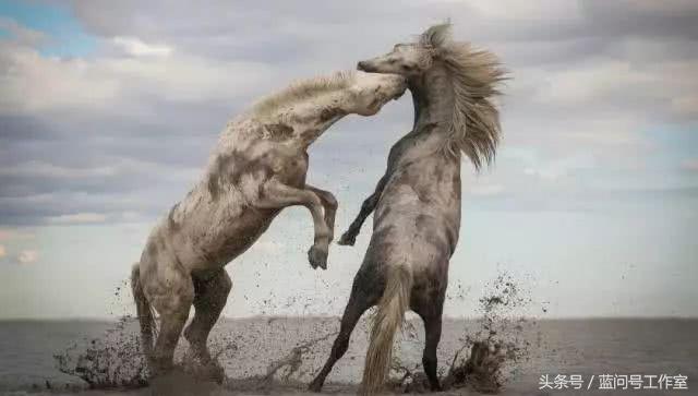 设计师陈幼坚现状,陈幼坚的代表设计作品赏析