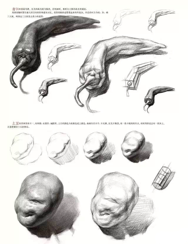 素描静物单体练习精品教程，非常详细，美术生看了都说好！