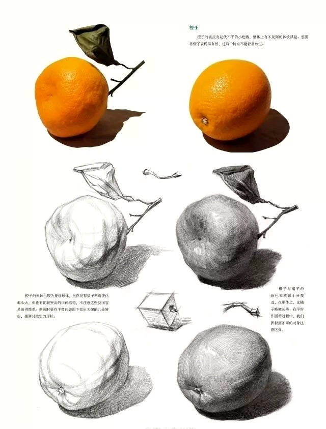 素描静物单体练习精品教程，非常详细，美术生看了都说好！