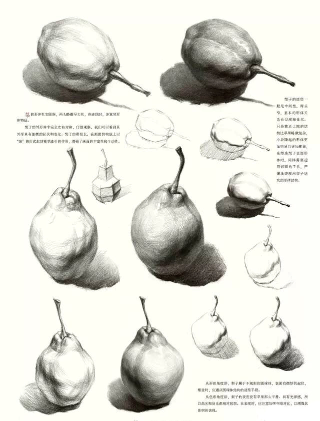 素描静物单体练习精品教程，非常详细，美术生看了都说好！