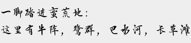 一脚踏进蛮荒地：这里有牛阵，鹭群，巴水河，长草滩