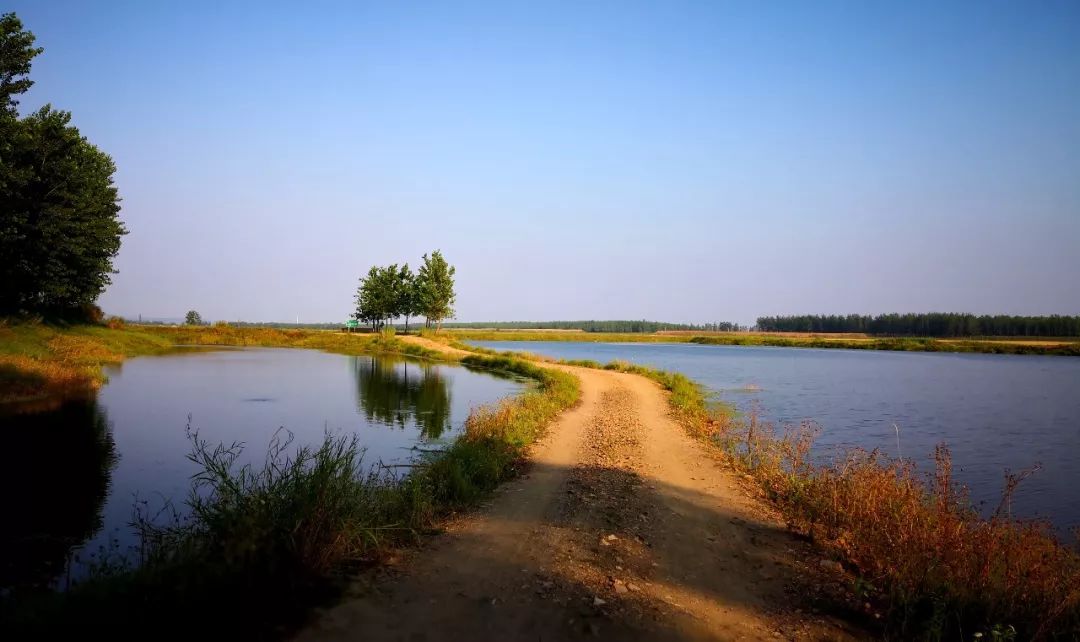 一脚踏进蛮荒地：这里有牛阵，鹭群，巴水河，长草滩