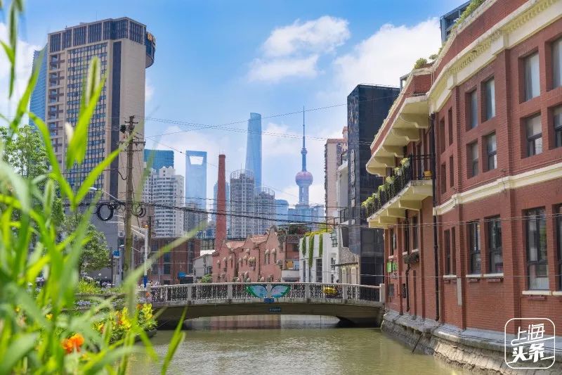 上海太震撼了的视频,上海城市风光中心