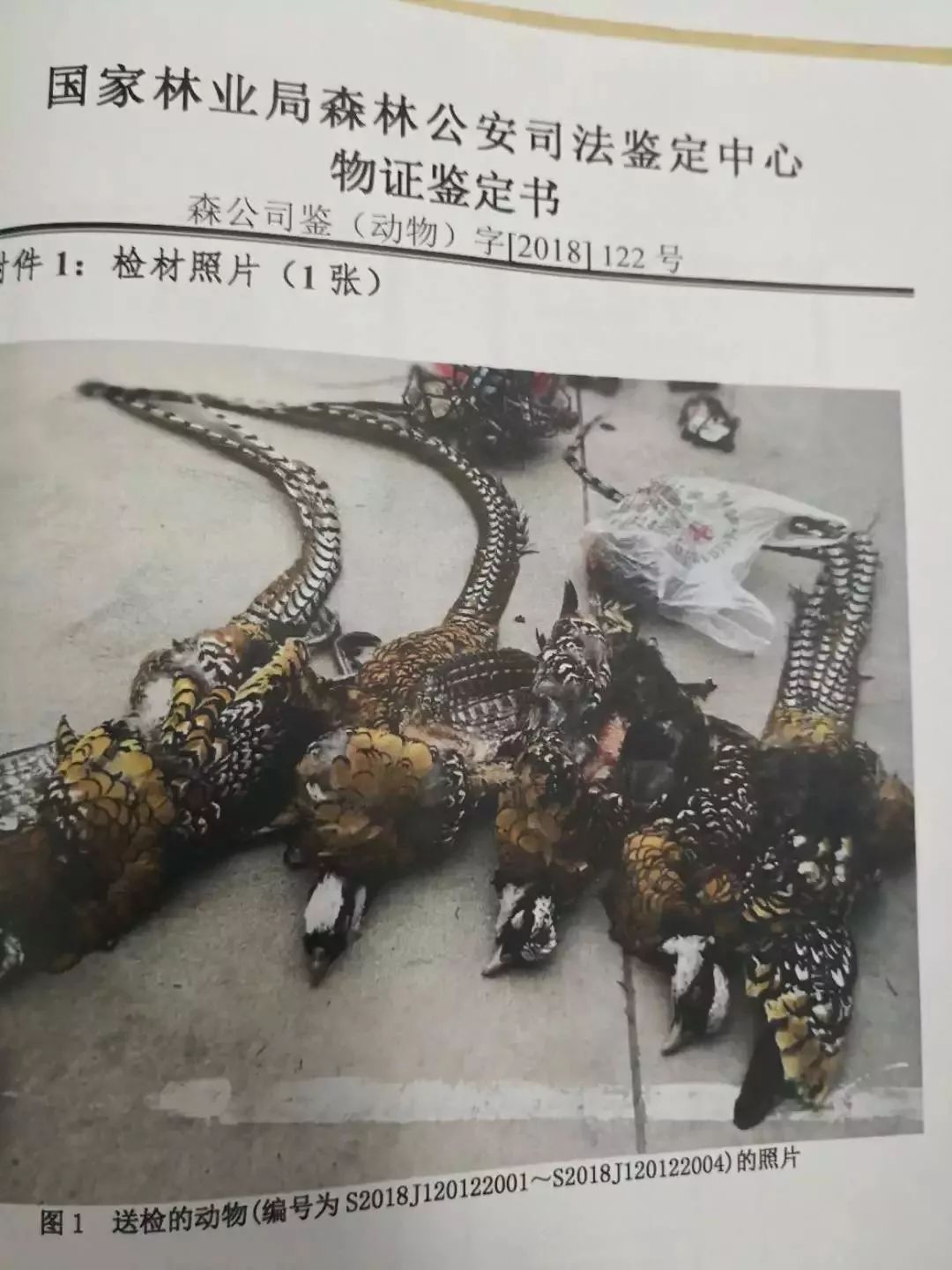 男子吃了四只鸡判刑,男子吃了4只鸡