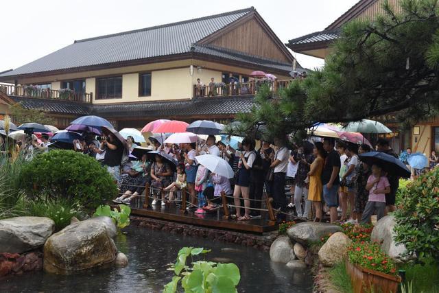 绵绵细雨中的乡村音乐会,绵绵细雨中