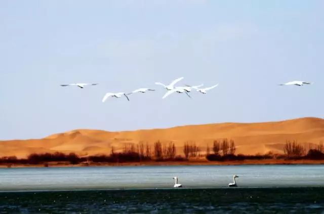 沙漠七星湖景区,迪拜沙漠探索票价