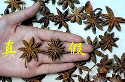 三鼎家政最新现状,郑州三鼎家政最新现状