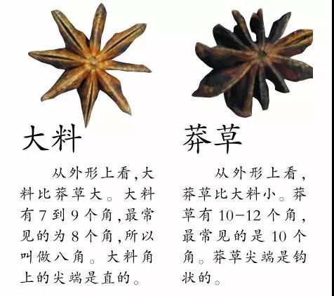 三鼎家政最新现状,郑州三鼎家政最新现状