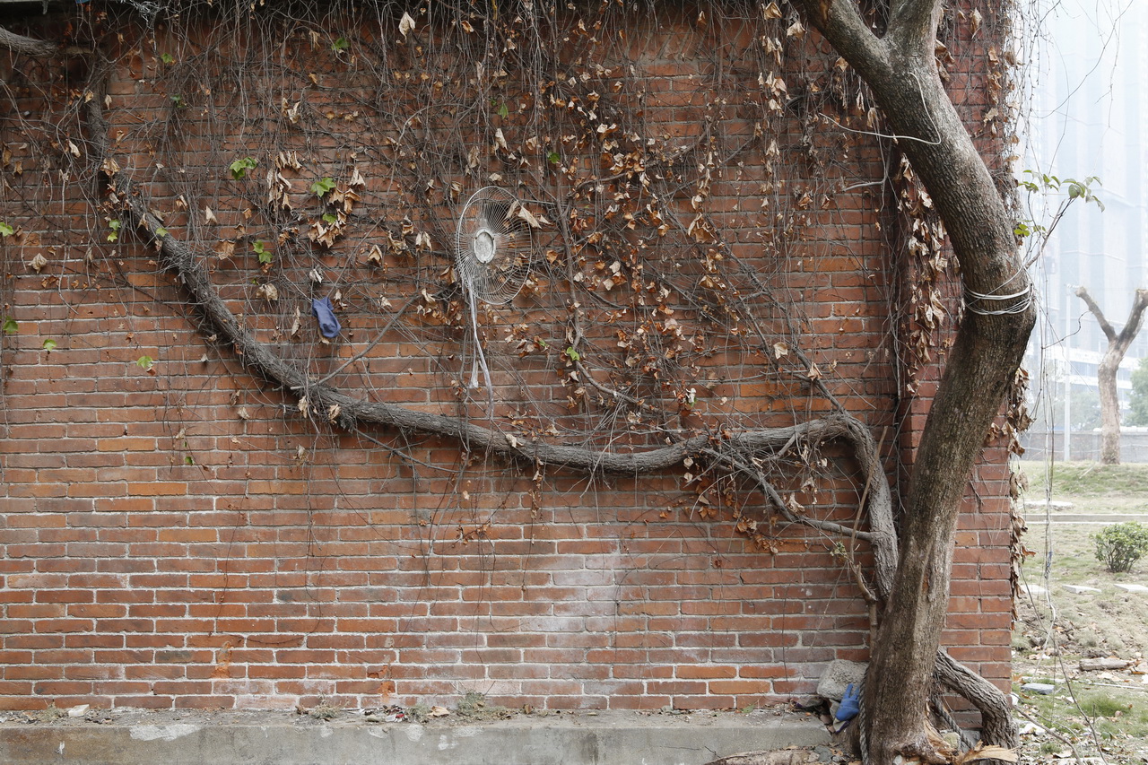 一冶机关大院的红房子,大武汉大院子别墅