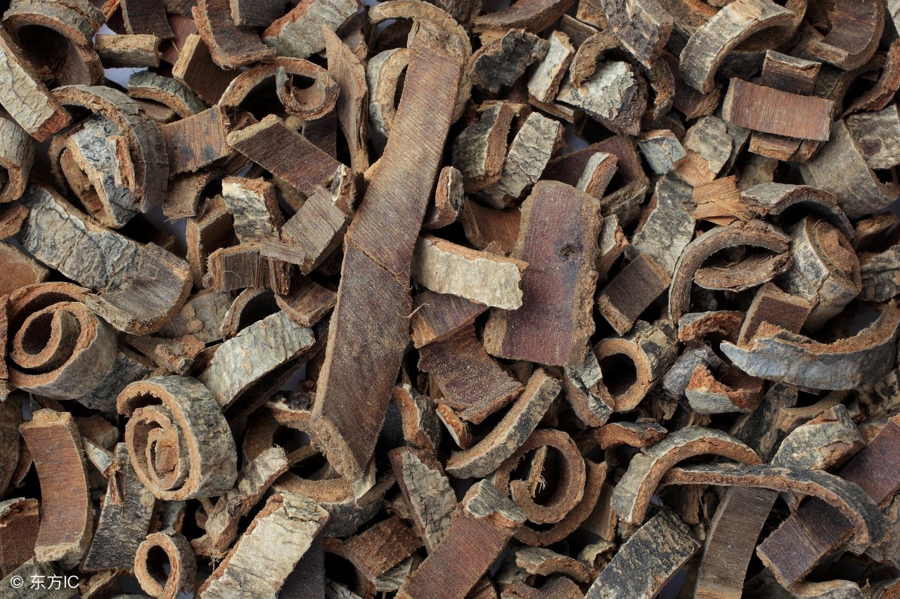 仲景全书与伤寒杂病论,张仲景伤寒杂病论八十一味药