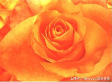 三分线与三分点构图,什么是三分法拍人物