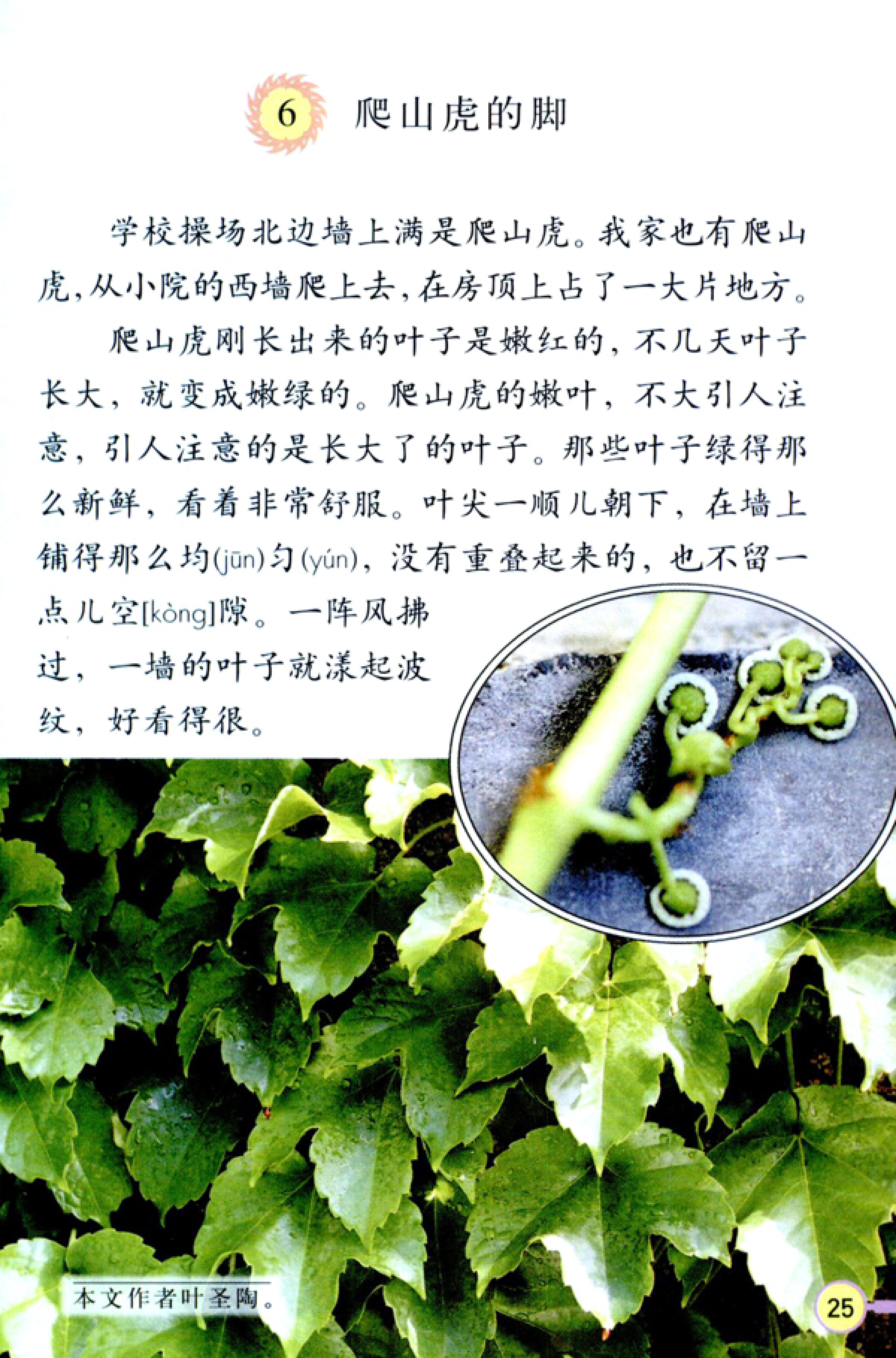 人教版四年级上册语文高清电子课本全本（记得收藏哦！）