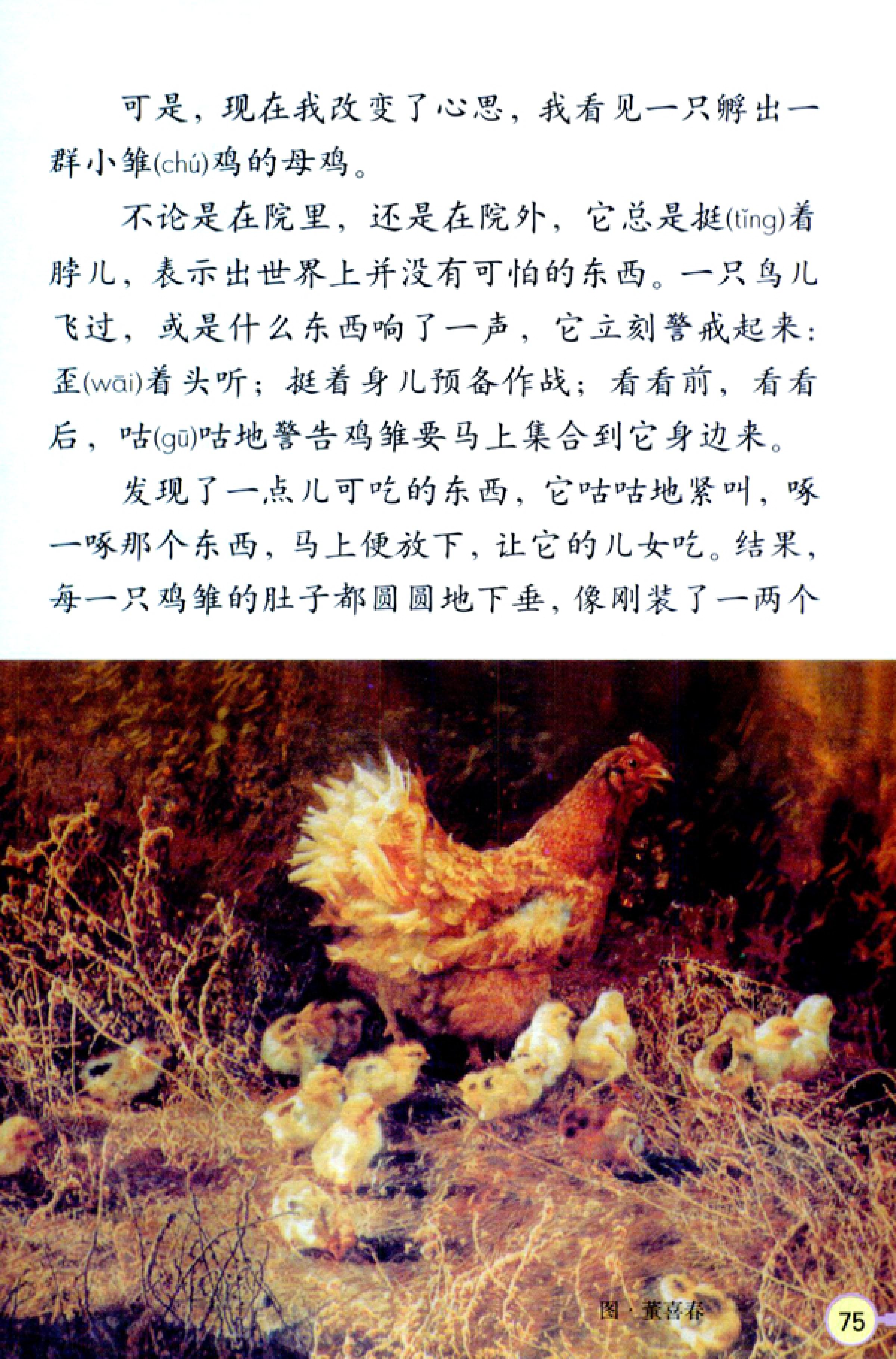 人教版四年级上册语文高清电子课本全本（记得收藏哦！）