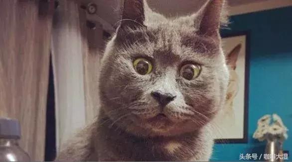 星巴克算精品咖啡吗,星巴克咖啡最便宜的多少钱一杯