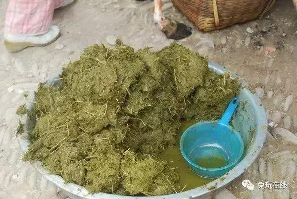 世界上最恶心的10种美食,世界上最恶心最恐怖的美食