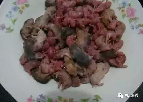 世界上最恶心的10种美食,世界上最恶心最恐怖的美食