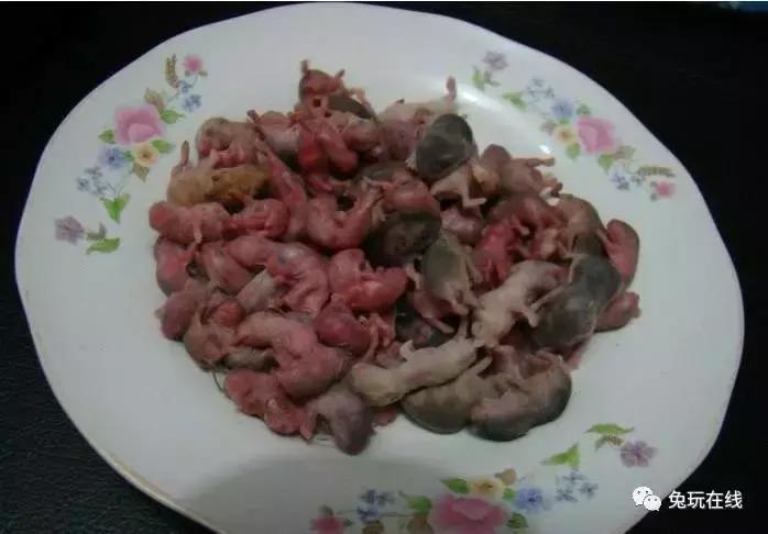 世界上最恶心的10种美食,世界上最恶心最恐怖的美食