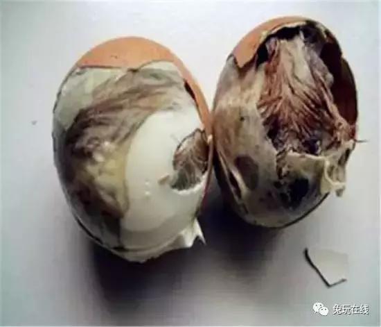 世界上最恶心的10种美食,世界上最恶心最恐怖的美食