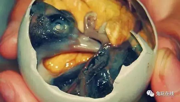 世界上最恶心的10种美食,世界上最恶心最恐怖的美食