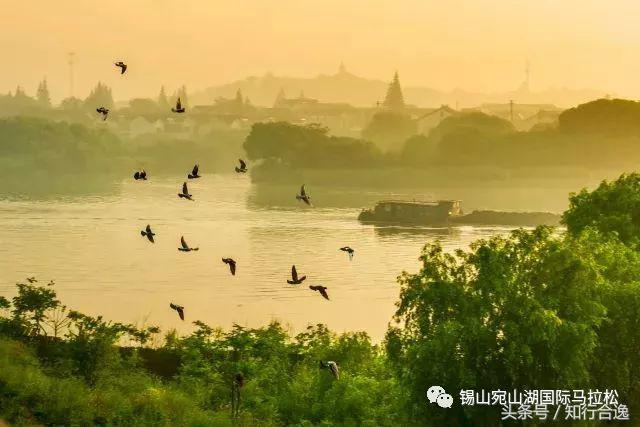 华东赛区全部赛事,华东十城市暨长三角田径邀请赛