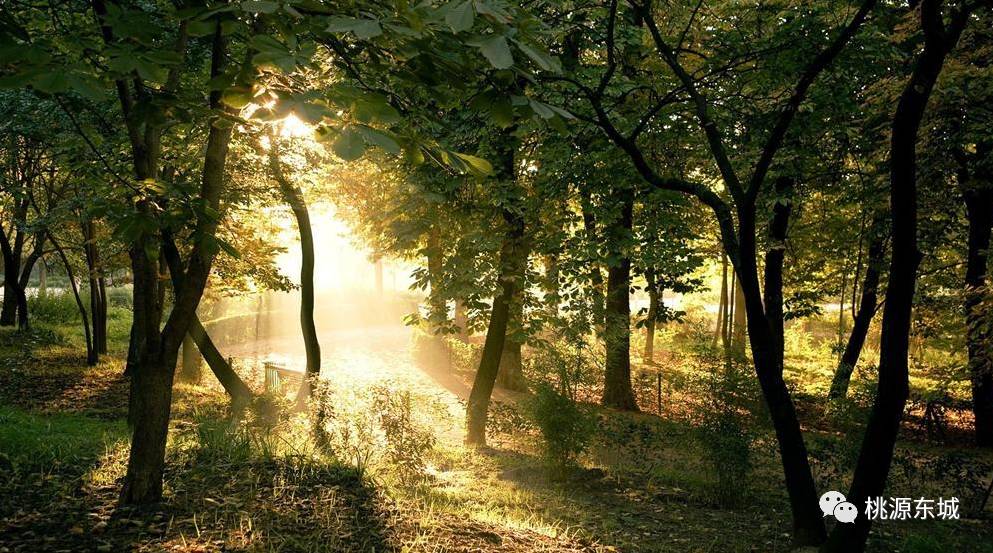 桃源双洲公园门票多少钱,桃源双洲城市生态公园