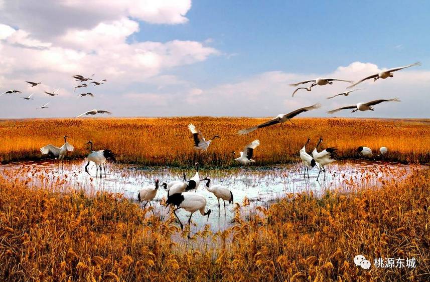 桃源双洲公园门票多少钱,桃源双洲城市生态公园