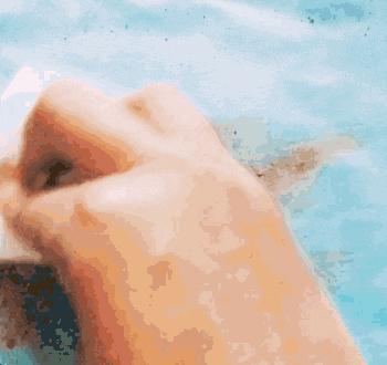 宠物冰垫有市场前景吗,宠物冰垫里面都有啥