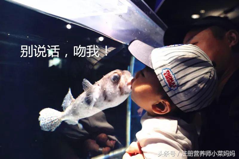 带娃去日本，照着做就对了