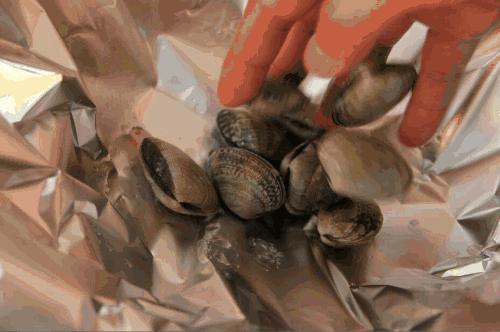 馋嘴花甲米线重庆,酸汤花甲米线重庆