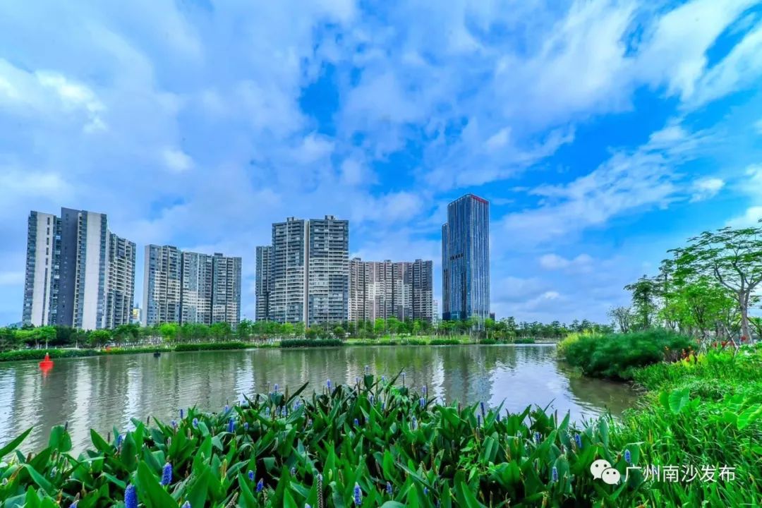 “南方+”有南沙频道啦!南沙区与南方报业传媒集团启动战略合作