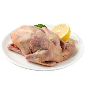 鸽子营养一鸽胜九鸡,一鸽胜九鸡滋味更滋补