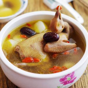 鸽子营养一鸽胜九鸡,一鸽胜九鸡滋味更滋补