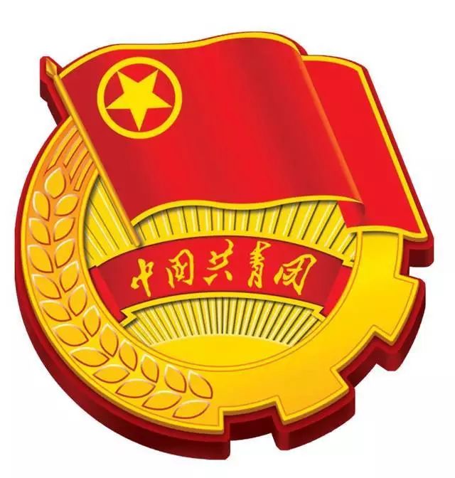 认真学团章做合格团员,学团史做合格共青团员