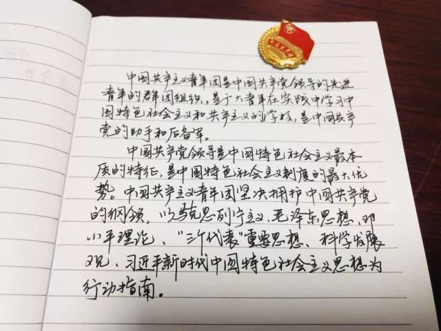 认真学团章做合格团员,学团史做合格共青团员