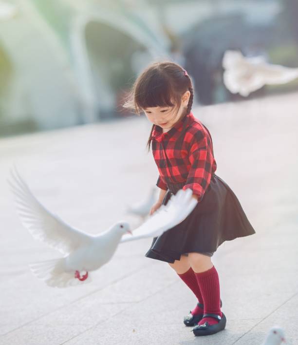 情人眼里出西施原来是真的,情人眼里出西施真会感觉不一样吗