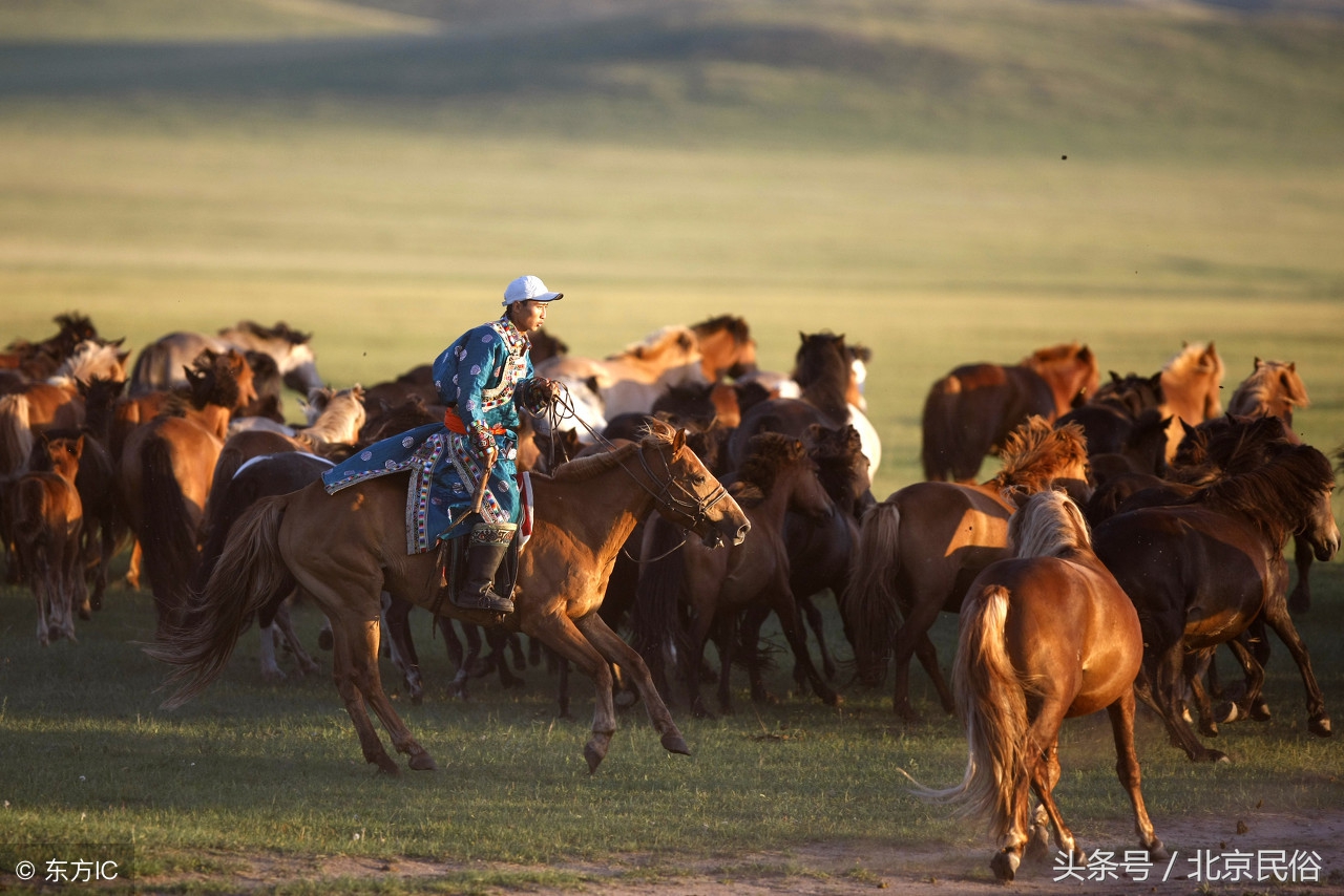 蒙古族的那达慕大会有什么意义,蒙古族那达慕大会的来历故事