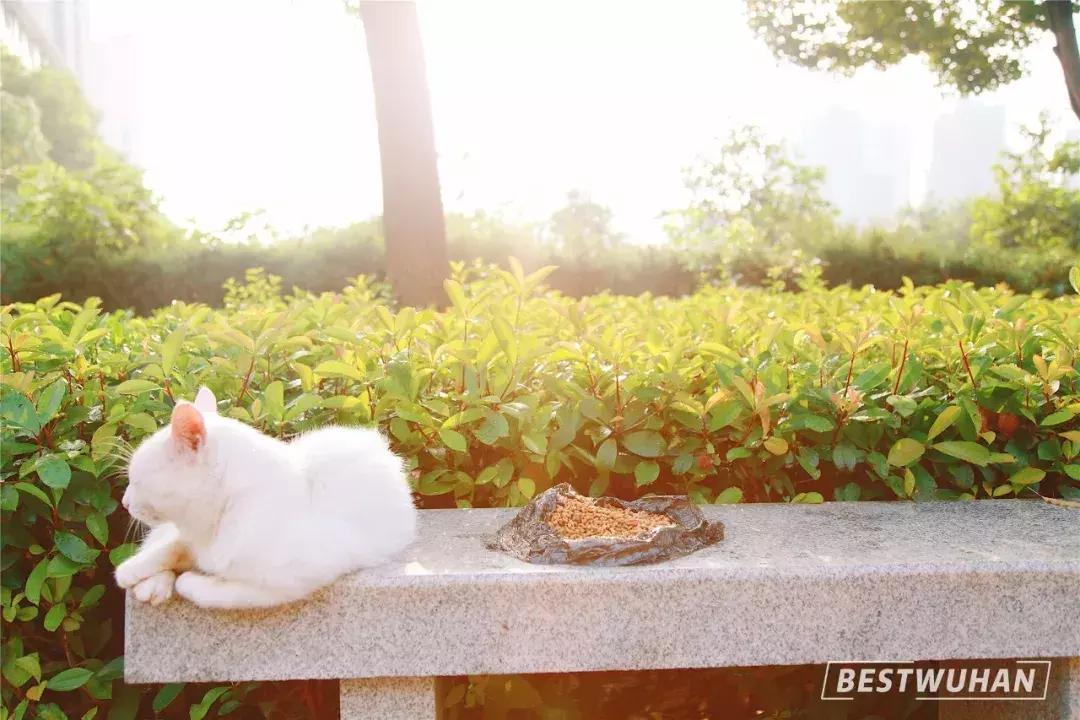 奔波一下午，给你展现最好的武汉东湖学院